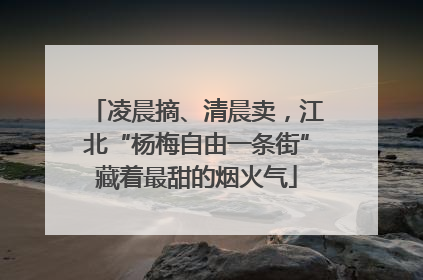 凌晨摘、清晨卖，江北“杨梅自由一条街”藏着最甜的烟火气