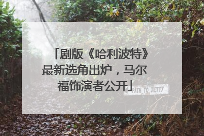 剧版《哈利波特》最新选角出炉，马尔福饰演者公开
