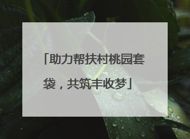 助力帮扶村桃园套袋，共筑丰收梦