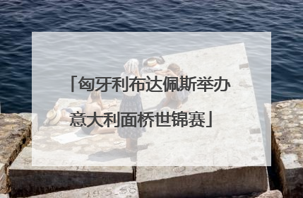 匈牙利布达佩斯举办意大利面桥世锦赛