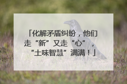 化解矛盾纠纷，他们走“新”又走“心”，“土味智慧”满满！