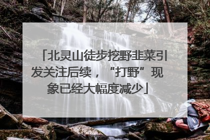 北灵山徒步挖野韭菜引发关注后续，“打野”现象已经大幅度减少