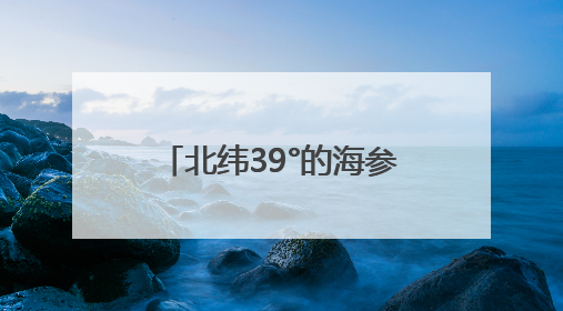 北纬39°的海参故事：上品堂春捕季背后的生态密码