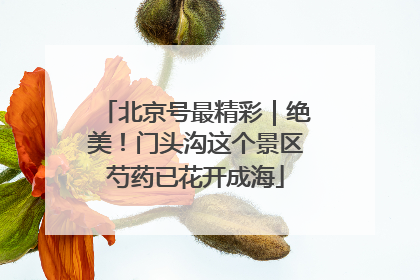 北京号最精彩｜绝美！门头沟这个景区芍药已花开成海