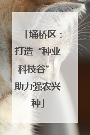 埇桥区：打造“种业科技谷” 助力强农兴种