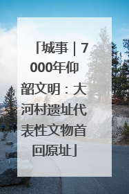 城事｜7000年仰韶文明：大河村遗址代表性文物首回原址