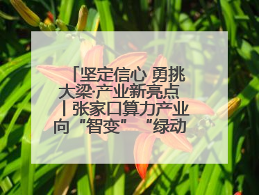 坚定信心 勇挑大梁·产业新亮点丨张家口算力产业向“智变”“绿动”跃升