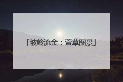 坡岭流金：萱草图景