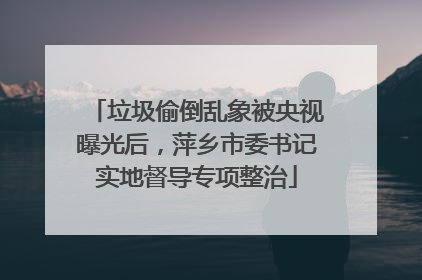 垃圾偷倒乱象被央视曝光后，萍乡市委书记实地督导专项整治