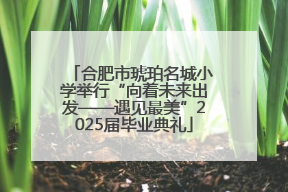 合肥市琥珀名城小学举行“向着未来出发——遇见最美”2025届毕业典礼