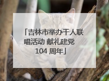 吉林市举办千人联唱活动 献礼建党 104 周年