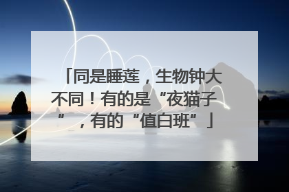 同是睡莲，生物钟大不同！有的是“夜猫子”，有的“值白班”