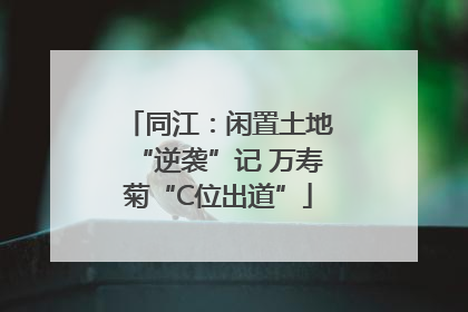 同江：闲置土地“逆袭”记 万寿菊“C位出道”