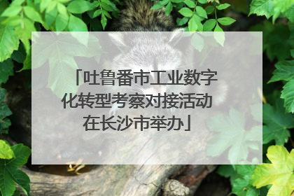 吐鲁番市工业数字化转型考察对接活动在长沙市举办