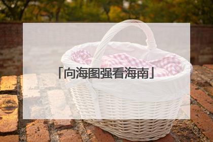 向海图强看海南