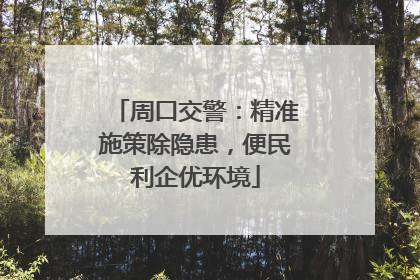 周口交警：精准施策除隐患，便民利企优环境