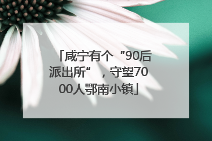 咸宁有个“90后派出所”，守望7000人鄂南小镇