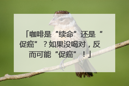 咖啡是“续命”还是“促癌”？如果没喝对，反而可能“促癌”！