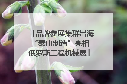 品牌参展集群出海 “泰山制造”亮相俄罗斯工程机械展