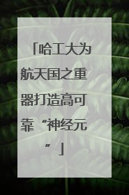 哈工大为航天国之重器打造高可靠“神经元”