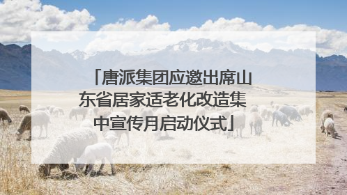 唐派集团应邀出席山东省居家适老化改造集中宣传月启动仪式
