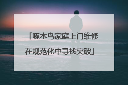 啄木鸟家庭上门维修在规范化中寻找突破