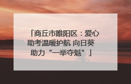 商丘市睢阳区：爱心助考温暖护航 向日葵助力“一举夺魁”