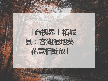 商视界丨柘城县：容湖湿地葵花竞相绽放
