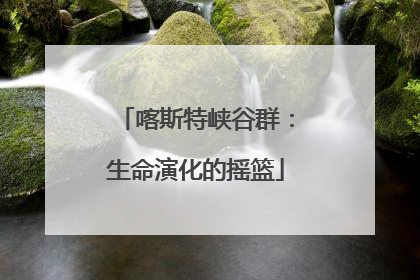 喀斯特峡谷群：生命演化的摇篮