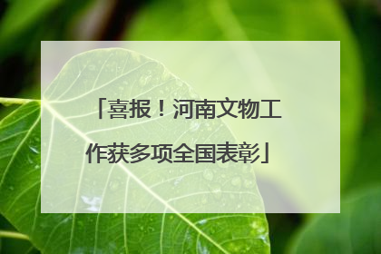 喜报！河南文物工作获多项全国表彰