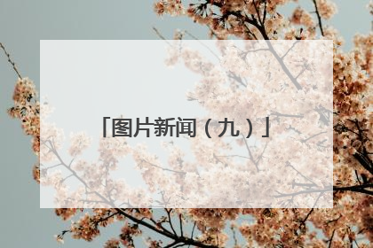 图片新闻（九）