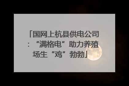 国网上杭县供电公司：“满格电”助力养殖场生“鸡”勃勃