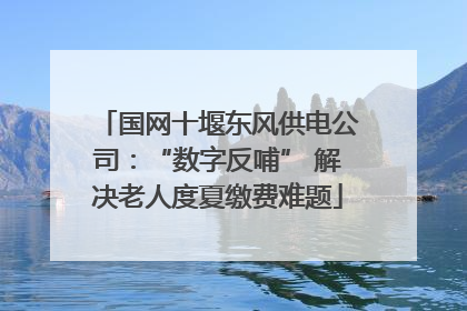 国网十堰东风供电公司：“数字反哺” 解决老人度夏缴费难题