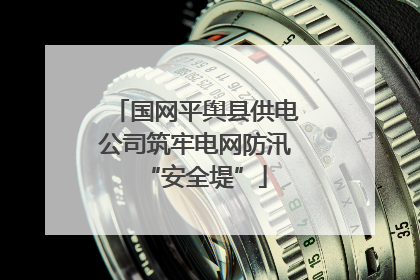 国网平舆县供电公司筑牢电网防汛“安全堤”