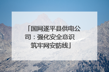 国网遂平县供电公司：强化安全意识 筑牢网安防线
