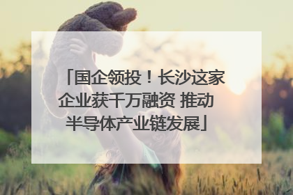 国企领投！长沙这家企业获千万融资 推动半导体产业链发展
