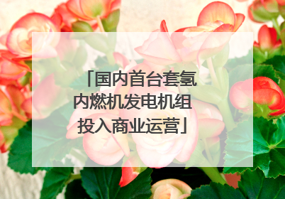 国内首台套氢内燃机发电机组投入商业运营