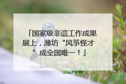 国家级非遗工作成果展上，潍坊“风筝怪才”成全国唯一！