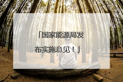 国家能源局发布实施意见！