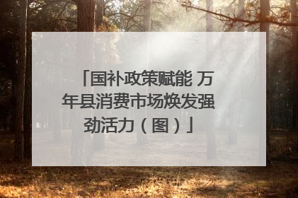 国补政策赋能 万年县消费市场焕发强劲活力（图）