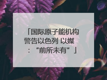 国际原子能机构警告以色列 以媒：“前所未有”