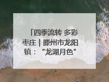 四季流转 多彩枣庄｜滕州市龙阳镇：“龙湖月色”向日葵花海 绘就乡村振兴新画卷