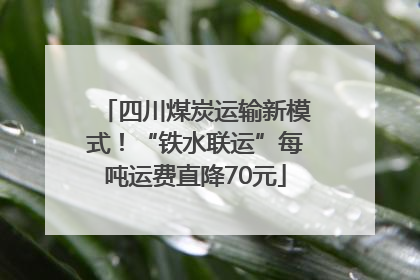 四川煤炭运输新模式！“铁水联运”每吨运费直降70元
