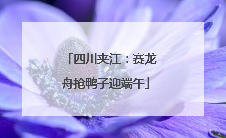 四川夹江：赛龙舟抢鸭子迎端午