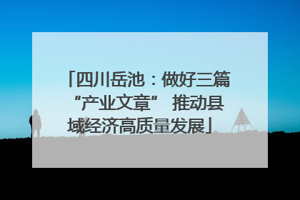四川岳池：做好三篇“产业文章” 推动县域经济高质量发展