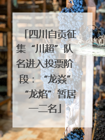 四川自贡征集“川超”队名进入投票阶段：“龙焱”“龙焰”暂居一二名