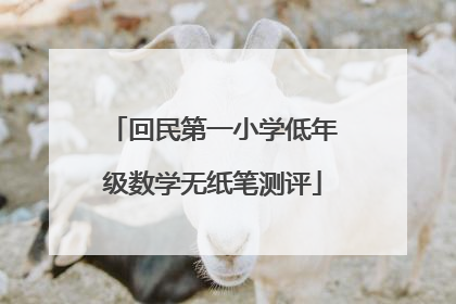 回民第一小学低年级数学无纸笔测评