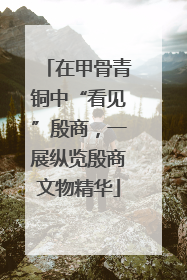 在甲骨青铜中“看见”殷商，一展纵览殷商文物精华