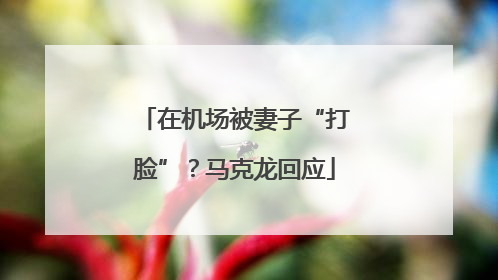 在机场被妻子“打脸”？马克龙回应