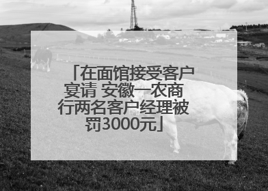 在面馆接受客户宴请 安徽一农商行两名客户经理被罚3000元